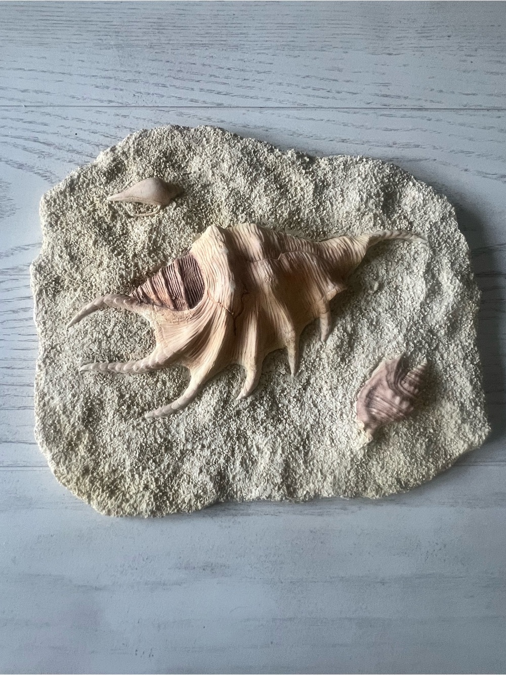 Seashell Wall Decor Plaque